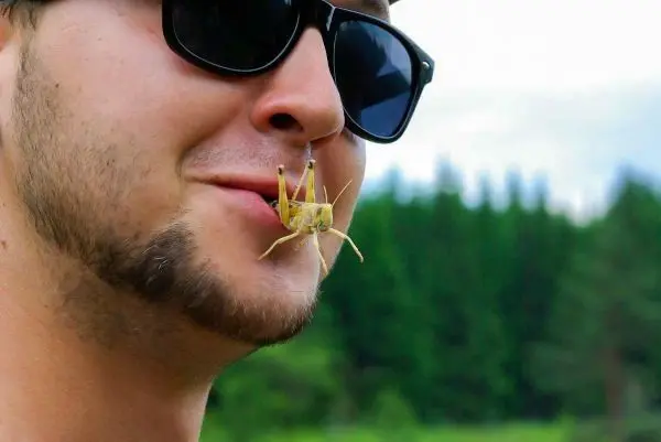 Grille sitzt auf der Lippe eines Mannes mit Sonnenbrille