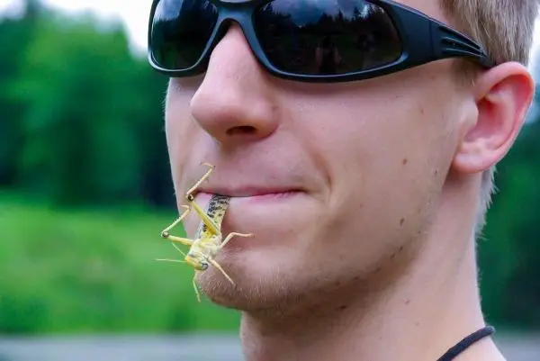 Grille sitzt auf der Lippe eines Mannes mit Sonnenbrille