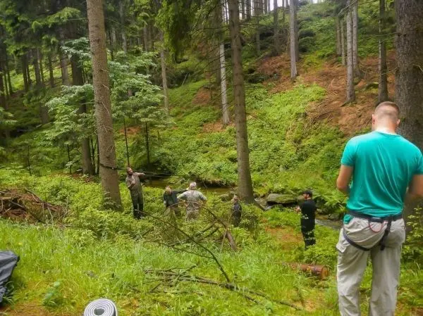 Gruppe arbeitet an einer selbstgebauten Seilbrücke zwischen Bäumen im Wald