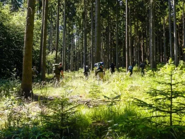 Gruppe mit Rucksäcken bewegt sich durch einen Wald mit hohen Bäumen