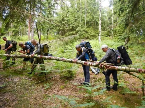 Gruppierung überquert umgefallenen Baumstamm im Wald mit Rucksäcken