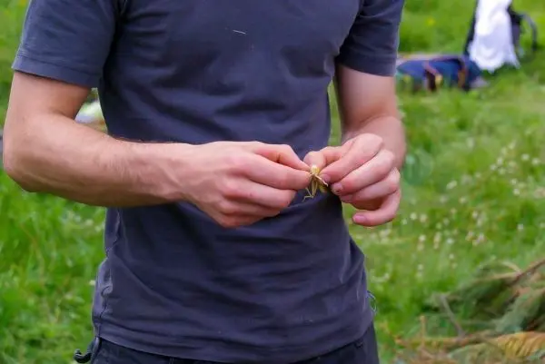 Hände formen eine Schnur aus Pflanzenmaterial