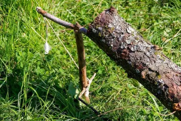 Holzstück liegt auf dem Gras und ist mit einem Stock verbunden