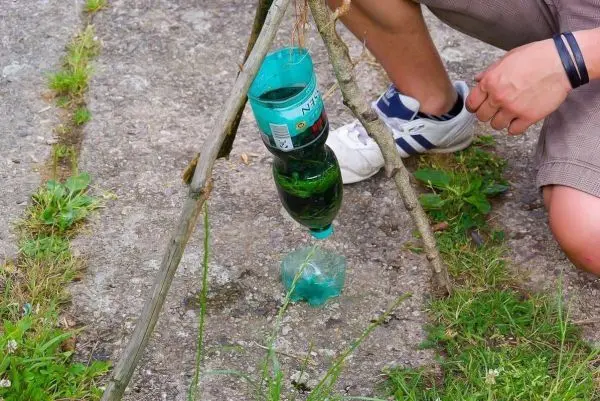 Improvisierte Wasserfilterkonstruktion aus Plastikflaschen und Ästen