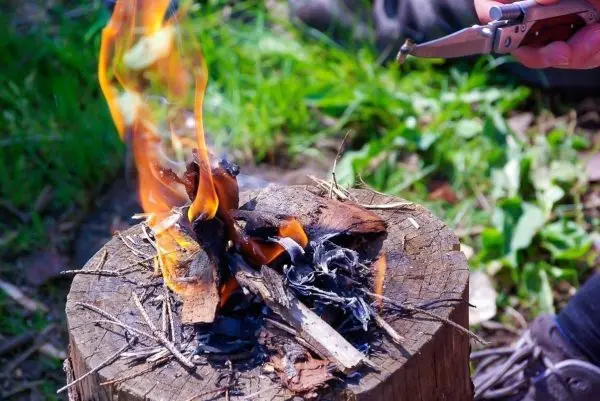Kleine Flamme brennt auf Holzstamm mit Zunder und Ästen