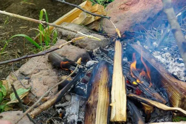 Kleine Flamme brennt zwischen Holzstücken auf einem Steinhaufen