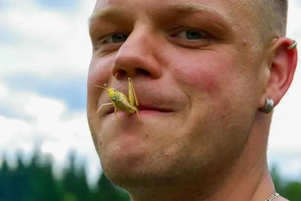 Männliche Person mit einer Heuschrecke auf der Lippe