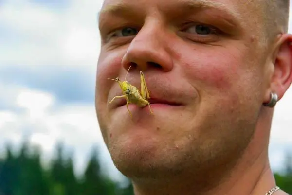 Mann mit Heuschrecke auf der Lippe lächelt in die Kamera