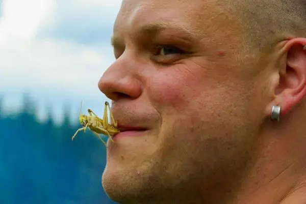Person hält eine Heuschrecke an den Lippen