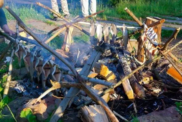 Person hängt Fische über ein Feuer zum Grillen