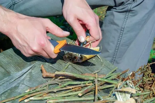 Person schneidet mit einem Messer Pflanzenmaterial auf einem Tisch