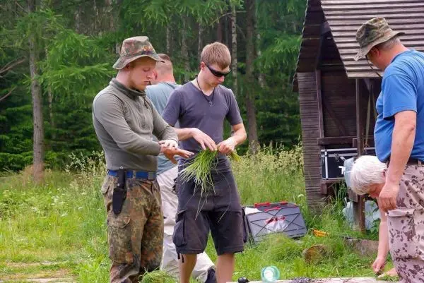 Zwei Personen sammeln Gras, während eine weitere Person an einem Tisch arbeitet