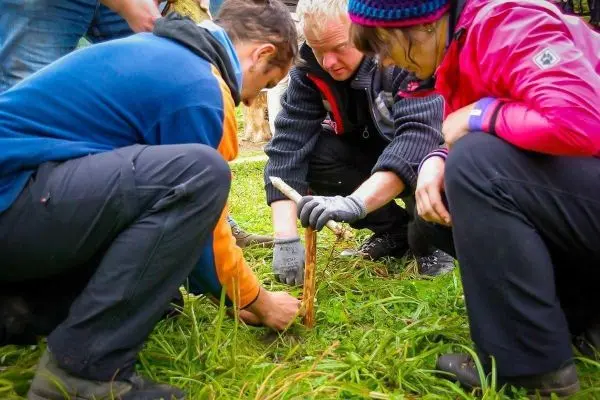 Drei Personen arbeiten gemeinsam an einer Holzstruktur im Gras