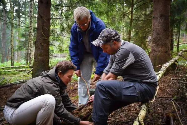 Drei Personen arbeiten gemeinsam an einer Holzstruktur im Wald
