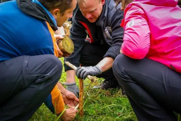Drei Personen arbeiten gemeinsam an einer Holzstückbearbeitung auf dem Boden