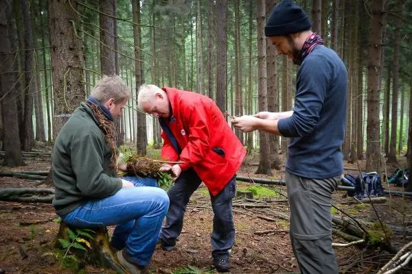 Drei Personen arbeiten im Wald an einer Pflanze, einer hält sie in der Hand