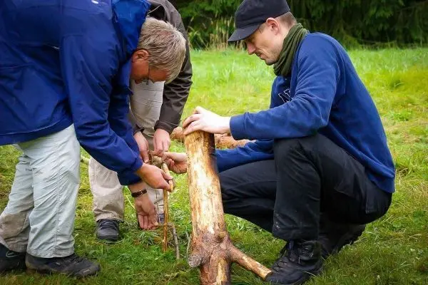 Drei Personen bearbeiten einen Holzstamm auf dem Boden