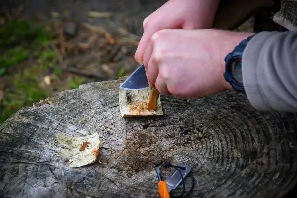 Ein Messer schabt Rinde von einem Holzstück auf einem Baumstumpf