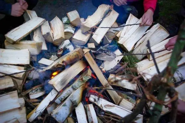 Hände halten Stöcke über einem Feuer mit Holzscheiten beim Überlebenstraining
