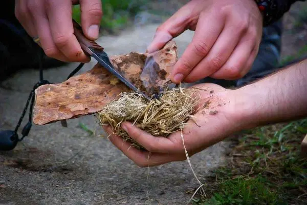 Hände schneiden Rinde und legen sie auf trockenes Gras beim Überlebenstraining
