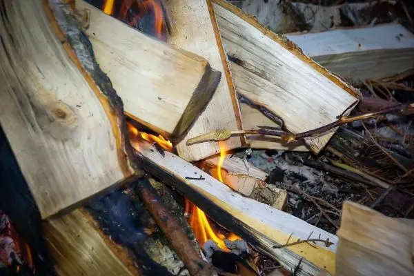 Kleine Flamme zwischen Holzscheiten, glühende Rinde und Zunder sichtbar