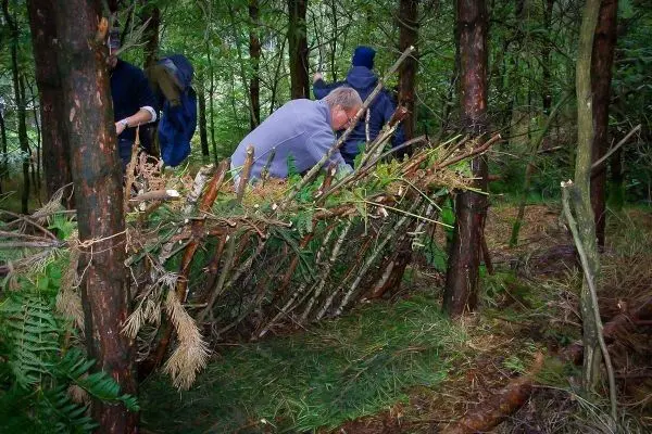 Mann baut eine improvisierte Laubhütte aus Ästen und Zweigen im Wald