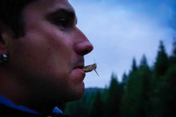 Mann hält einen Stock im Mund, während er in die Ferne blickt