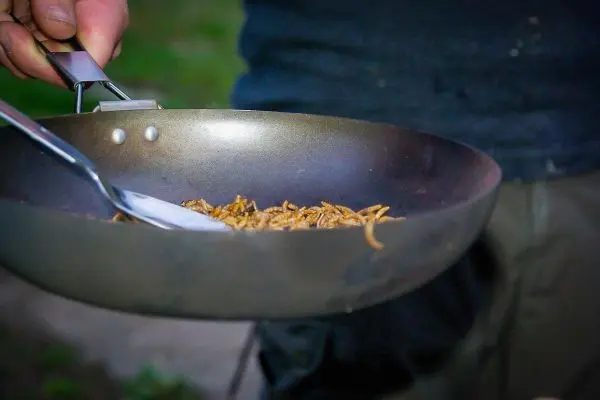 Pfanne mit gerösteten Insekten wird mit einer Gabel gehalten
