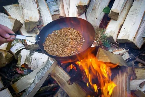 Pfanne mit Nudeln über offener Flamme auf Holzscheiten