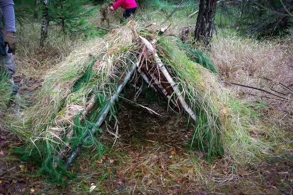 Tarp-Notunterkunft aus Ästen und Gras in einem Waldgebiet