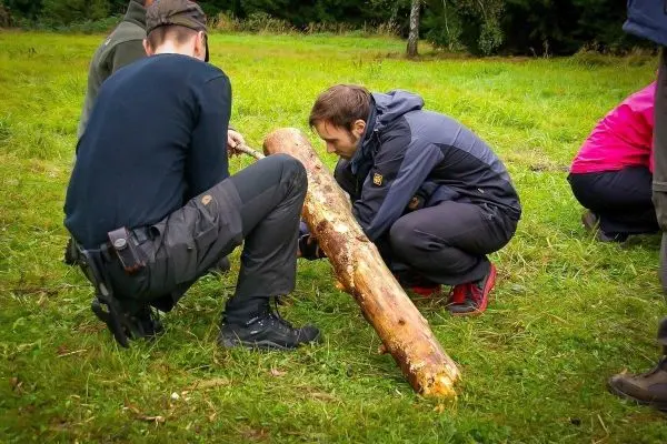 Zwei Personen bearbeiten einen Holzstamm auf dem Boden