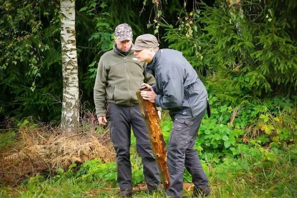 Zwei Personen betrachten einen Holzstock im Wald