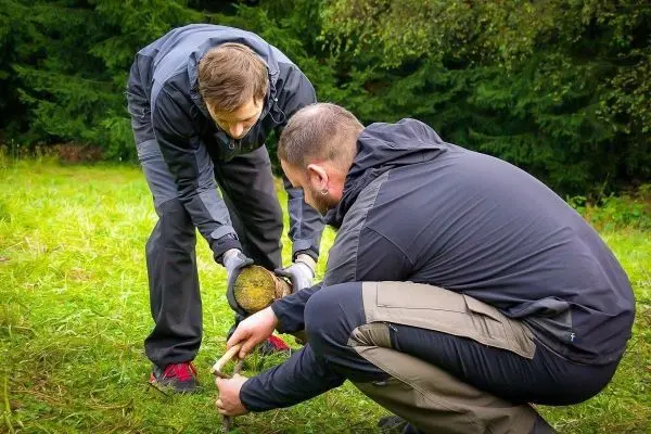 Zwei Personen untersuchen den Boden im Wald
