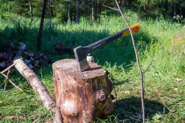 Axt steckt in einem Holzstumpf, daneben liegen Holzstücke auf dem Boden