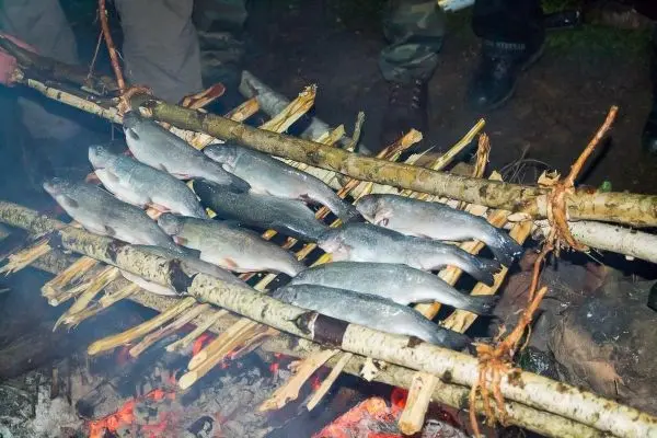 Fische werden über einem offenen Feuer auf einer improvisierten Grillkonstruktion gegart