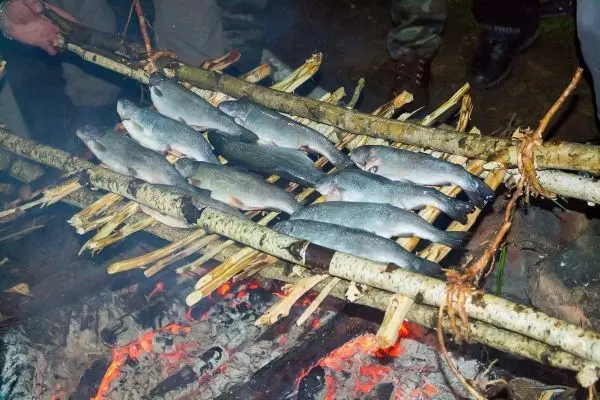 Fische werden über einem offenen Feuer auf einer improvisierten Grillkonstruktion gegart
