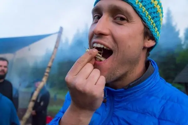 Mann hält einen Insekt zwischen den Fingern und bringt ihn zum Mund