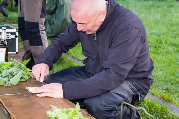 Messer schneidet Kräuter auf einem Holzbrett im Freien