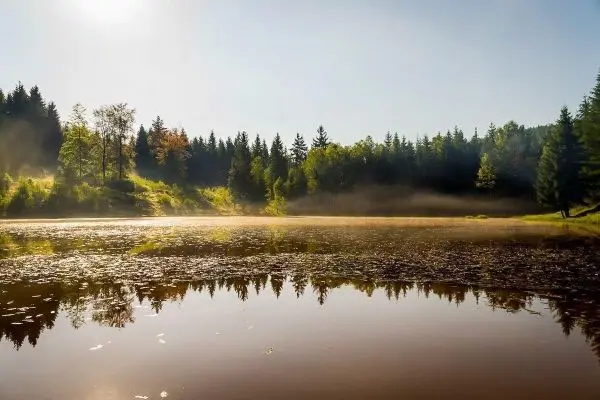Ruhiger See mit spiegelndem Wasser und umgebenden Bäumen im Morgennebel