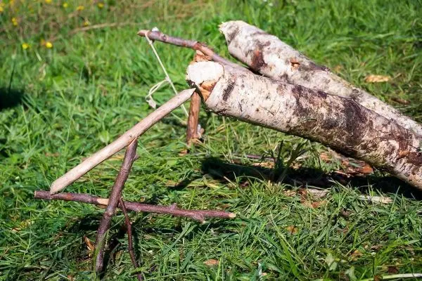 Selbstgebaute Struktur aus Ästen auf grünem Gras