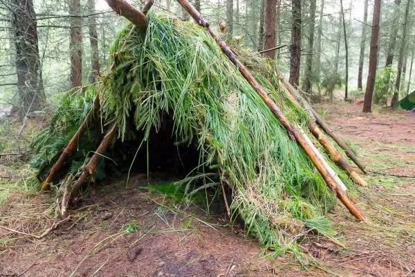 Selbstgebaute Tarp-Notunterkunft aus Ästen und Zweigen im Wald