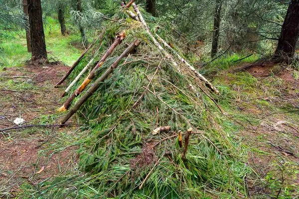 Selbstgebaute Tarp-Notunterkunft aus Ästen und Zweigen im Wald
