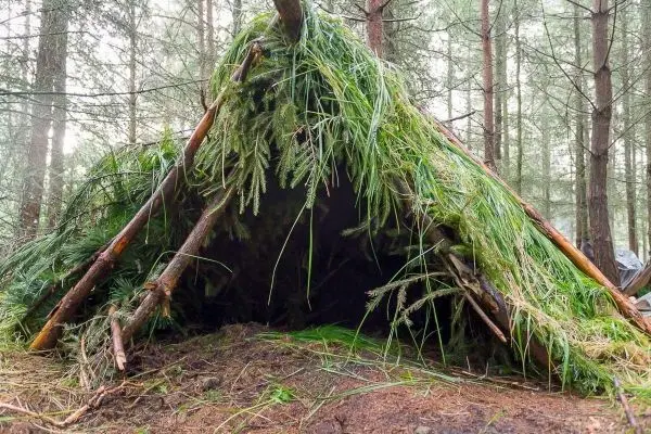 Tarp-Notunterkunft aus Ästen und Grünzeug im Wald aufgebaut