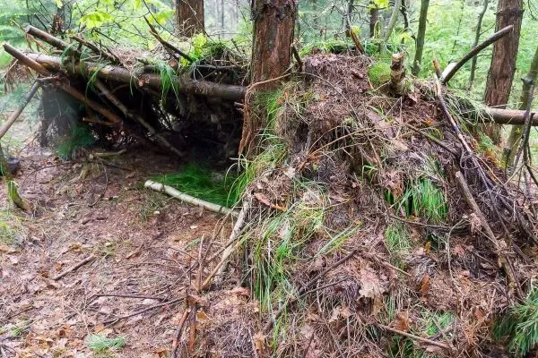 Tarp-Notunterkunft aus Ästen und Laub im Wald aufgebaut