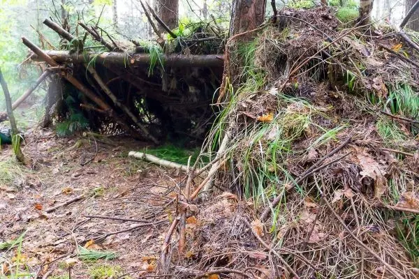 Tarp-Notunterkunft aus Ästen und Laub im Wald aufgebaut