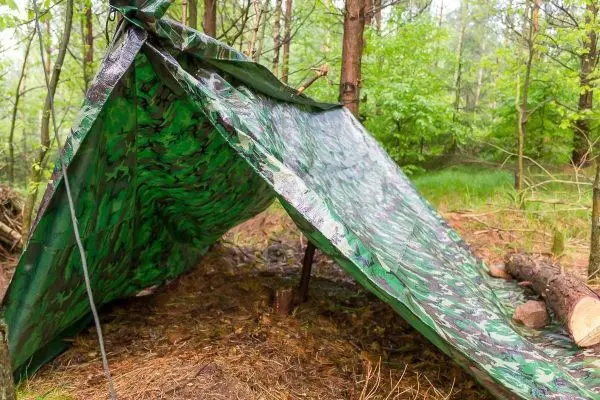 Tarp-Notunterkunft aus Camouflage-Material unter Bäumen im Wald aufgebaut