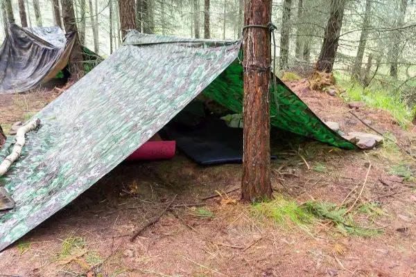 Tarp-Notunterkunft aus Camouflage-Plane zwischen Bäumen mit Unterlage sichtbar