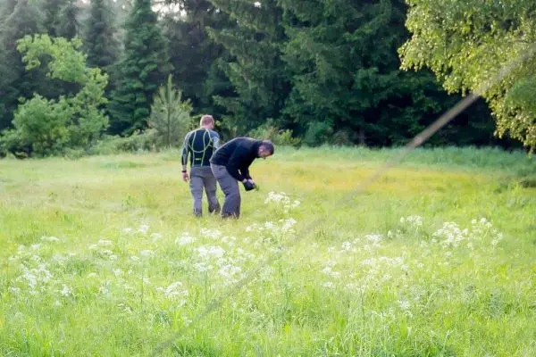 Zwei Personen untersuchen den Boden in einer Wiese mit hohem Gras und Blumen