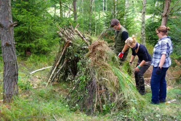Drei Personen bauen eine Tarp-Notunterkunft aus Ästen und Gras im Wald