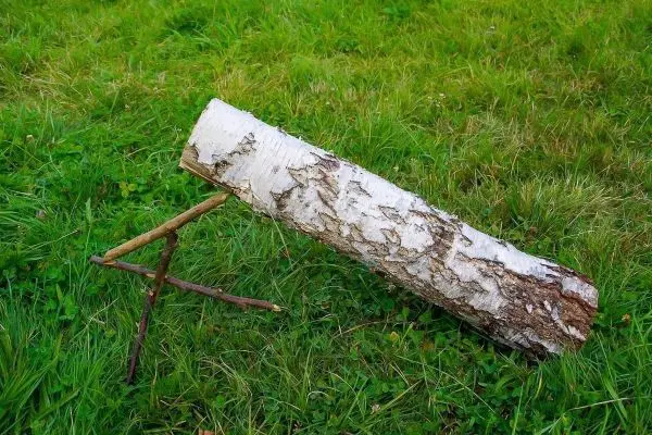 Ein Baumstamm liegt auf zwei Ästen im Gras